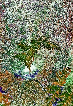 N 093C